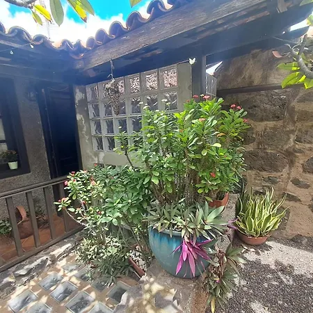 Casa Aurelia *