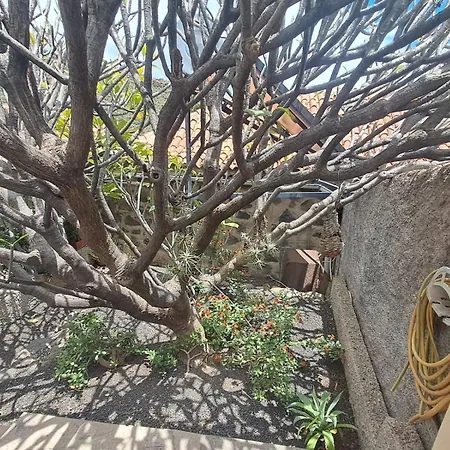 Σπίτι διακοπών Casa Aurelia *
